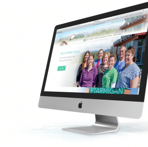 Responsive Website Design, Wasilla Alaska